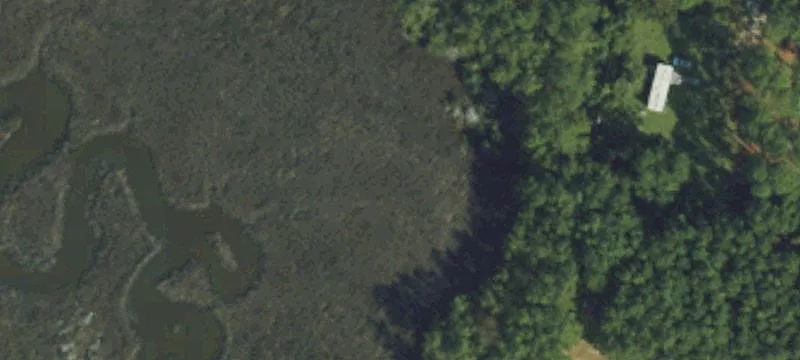 529 Firetower Rd