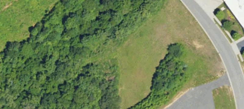 264 Cayuga Dr