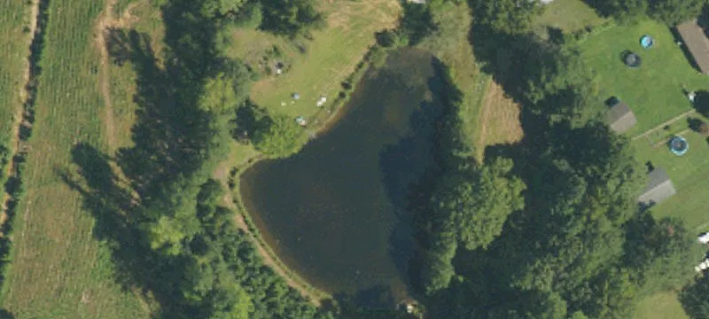542 Bruce Coggins Rd