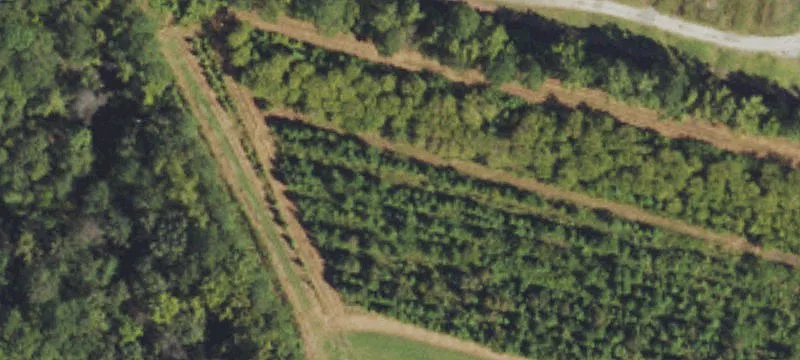 Burgaw, NC 28425