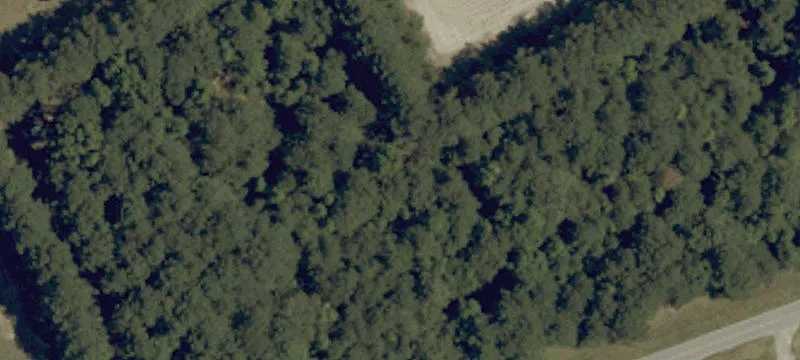 Augusta Dr