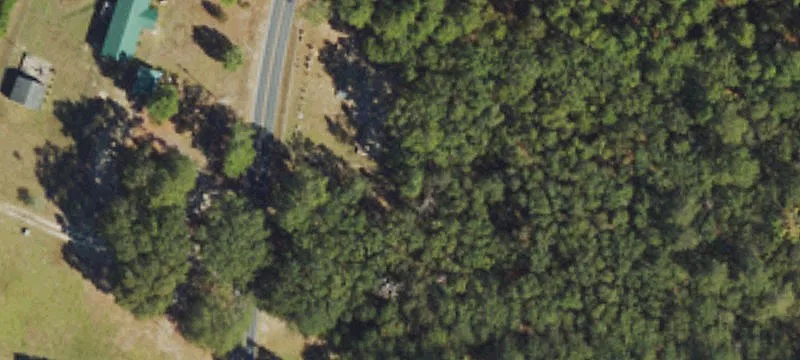 Sneads Grove