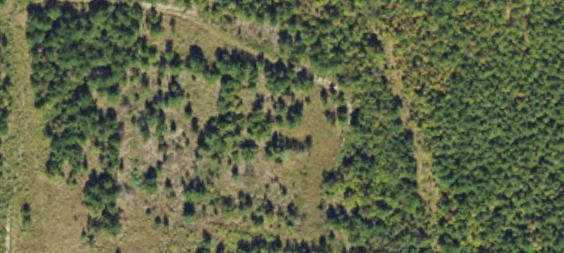 Lumberton, NC 28358