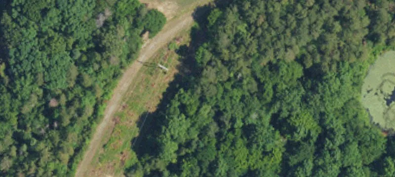 Boxwood Ln