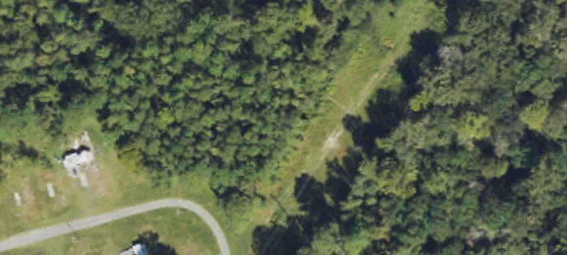 Wallace, NC 28466