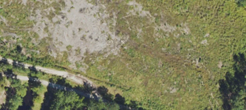 Burgaw, NC 28425
