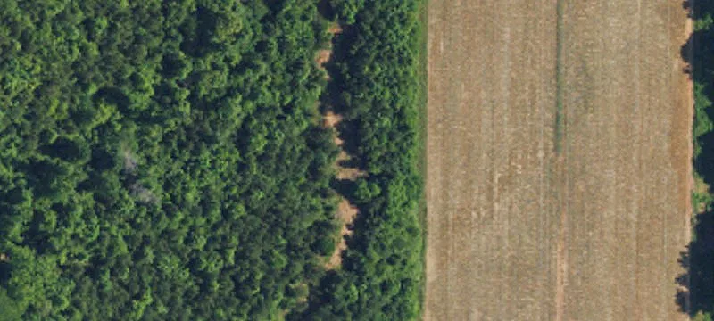 Long Fry Rd