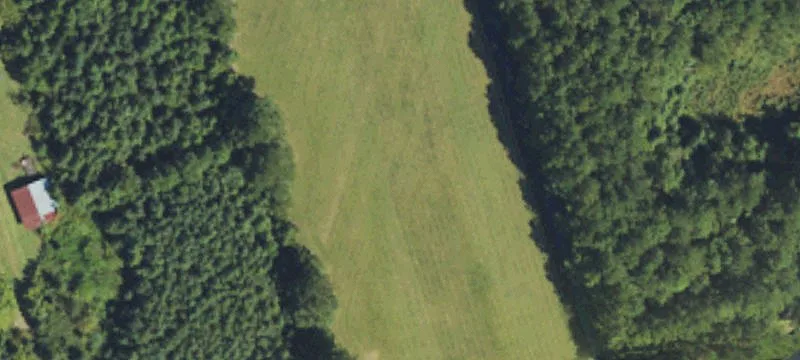 Burgaw, NC 28425