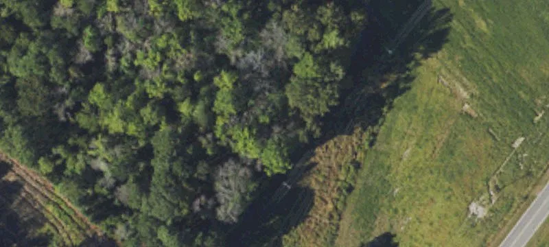 247 Tar Heel Rd