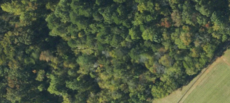 3721 Nc Hwy 119