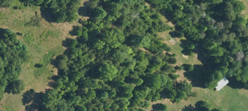 Hogan Rd