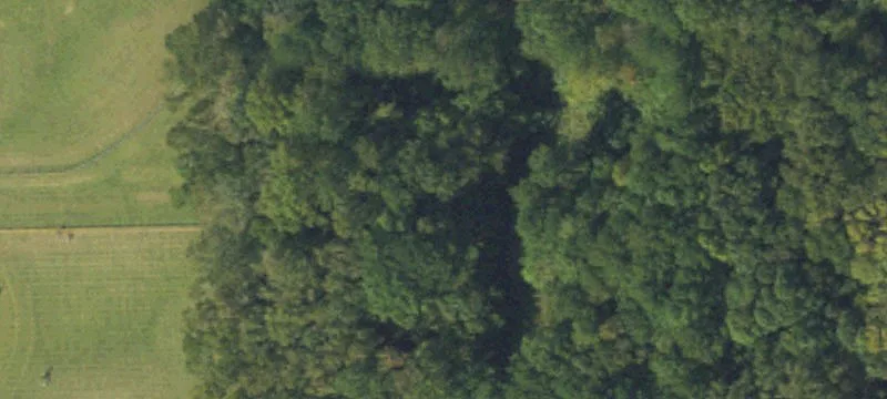 Bethel, NC 27812
