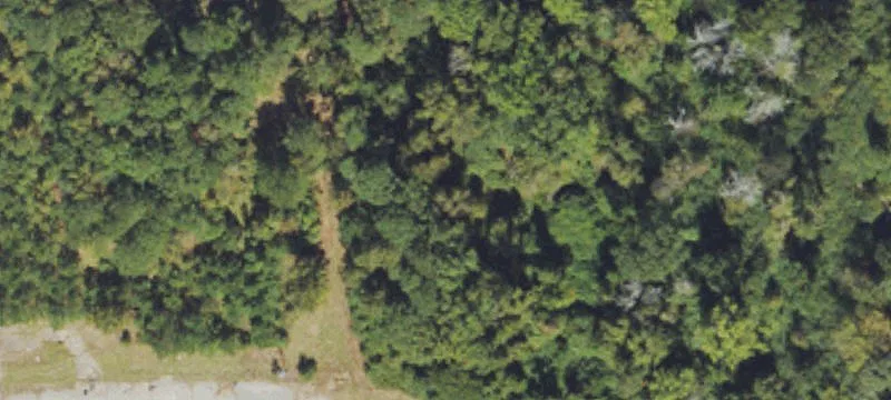 Fairmont, NC 28340