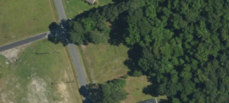 Magnolia, NC 28453