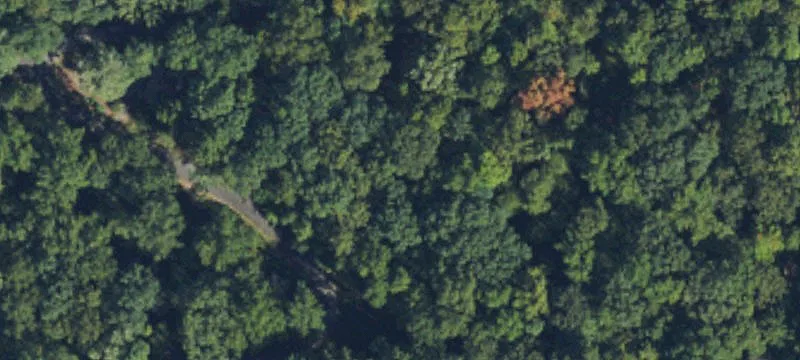 Red Wing Rd