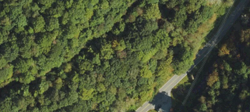 Mars Hill, NC 28754