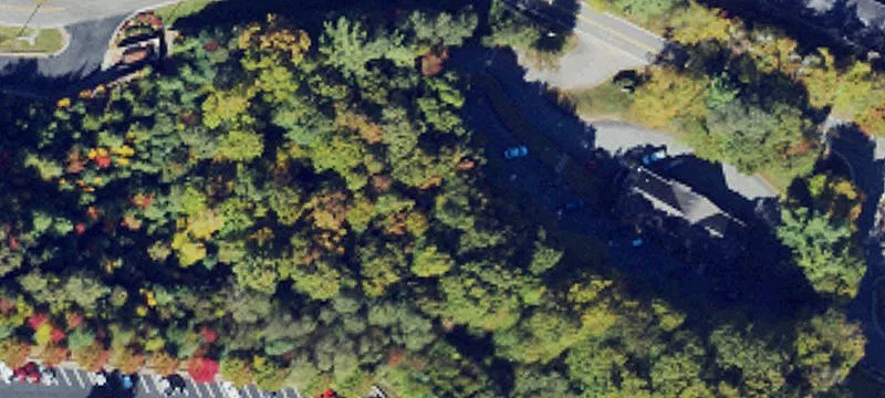 Boone, NC 28607