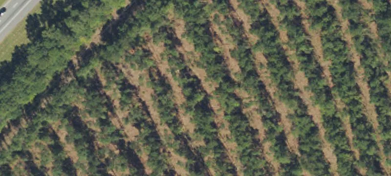 Hope Mills, NC 28348