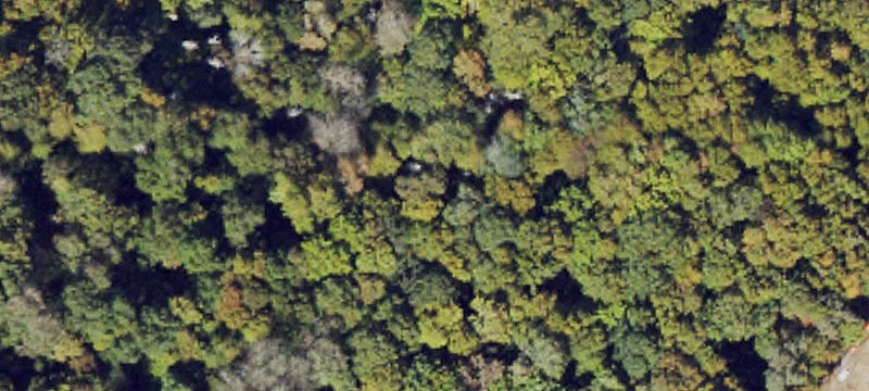Blowing Rock, NC 28605