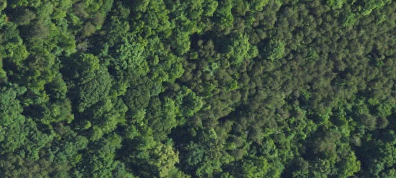 Us 29th Business