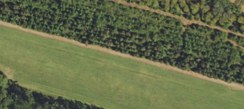 Burgaw, NC 28425