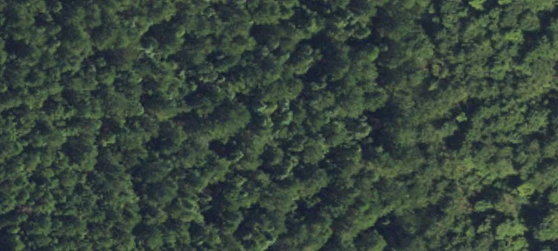 Burgaw, NC 28425