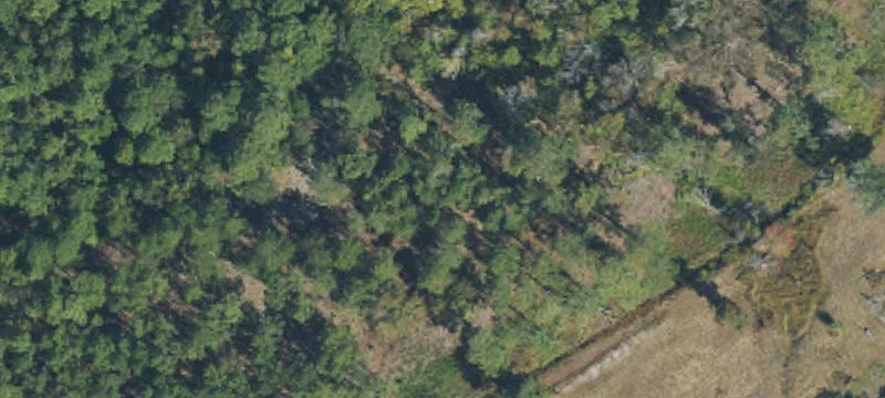 Holly Ridge, NC 28445