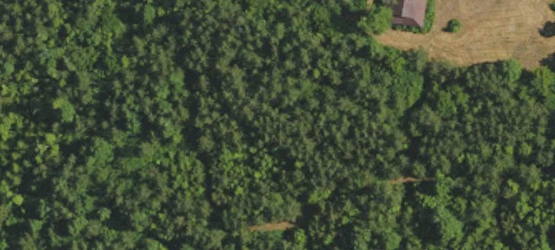 Godbey Rd