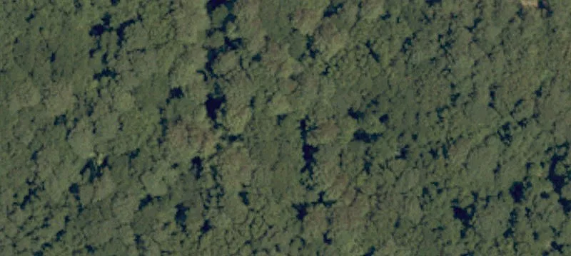 172 Chicahauk Trl