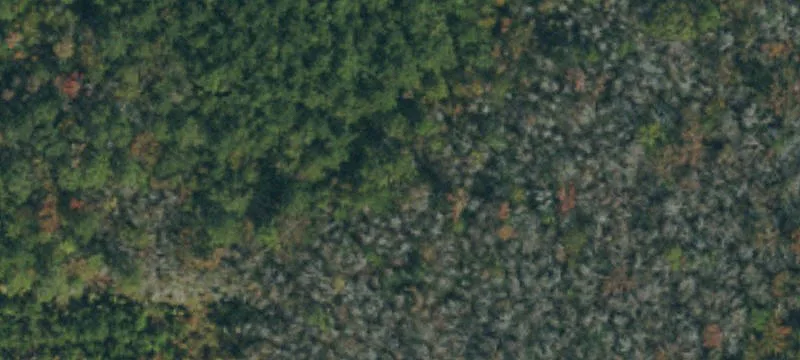 Linden, NC 28356