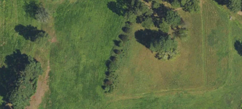 Clover Ln