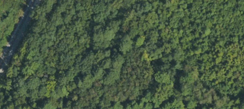 125 Saint Andrews Chu Rd