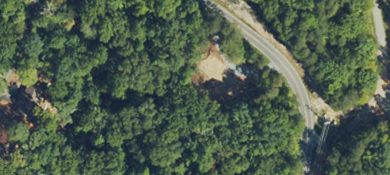 1099 Buffalo Shls Rd