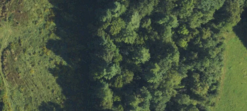 Mars Hill, NC 28754