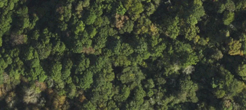 Mars Hill, NC 28754