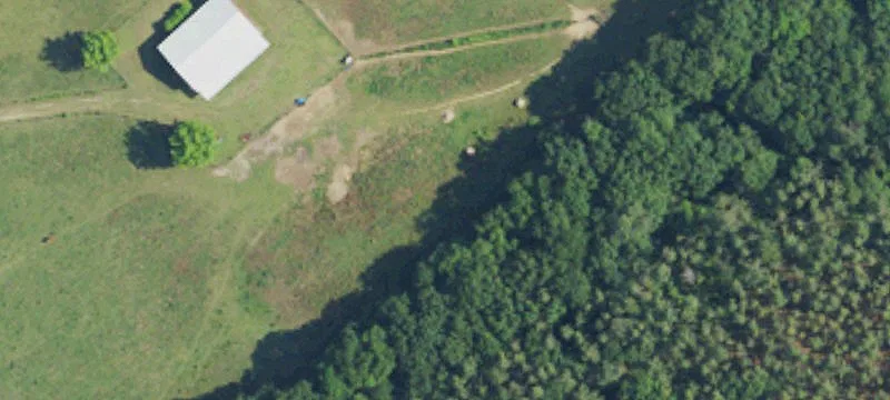 Sneads Grv Rd