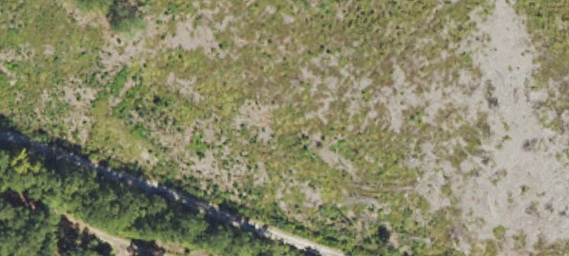Burgaw, NC 28425