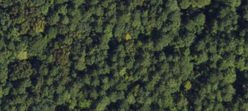 Rougemont, NC 27572