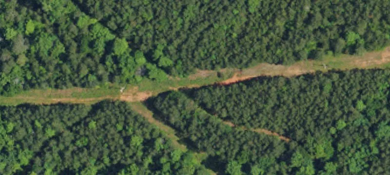 Mackey Freeman Rd