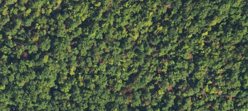 Black Mountain, NC 28711