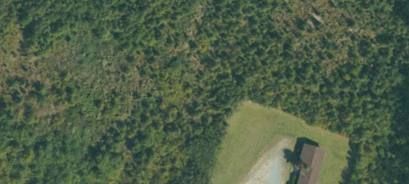Stedman, NC 28391