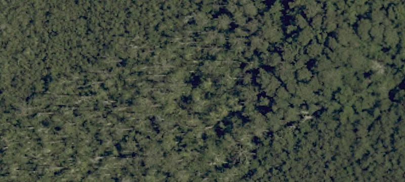 Caratoke Hwy