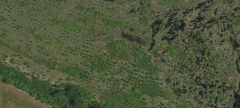 Faison, NC 28341