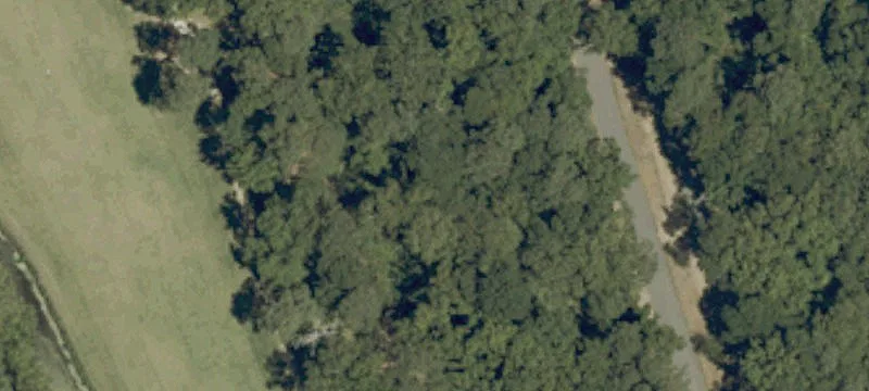 Duck Woods Dr