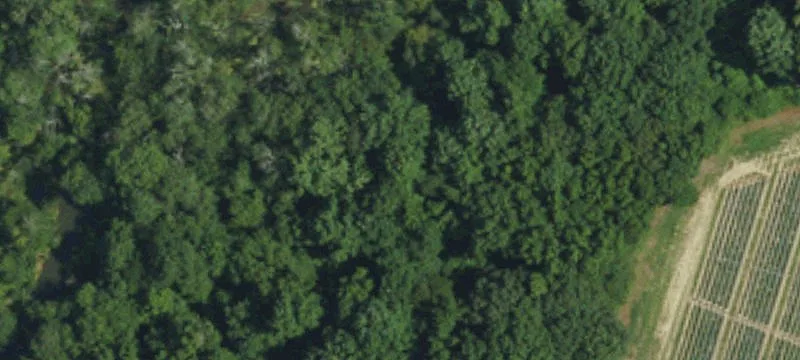 Faison, NC 28341