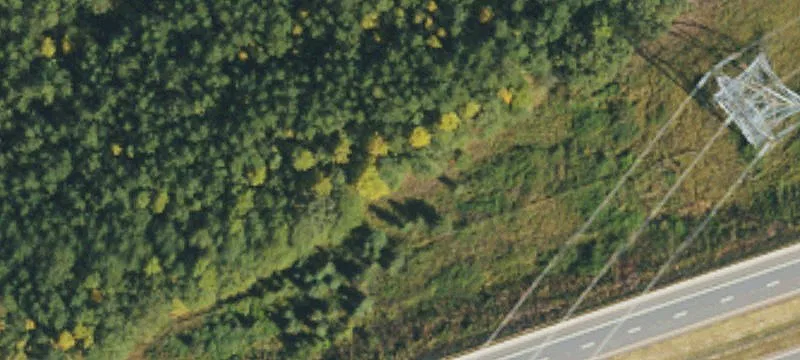 Washburn Switch Rd