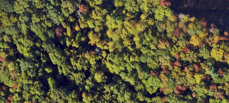 Boone, NC 28607