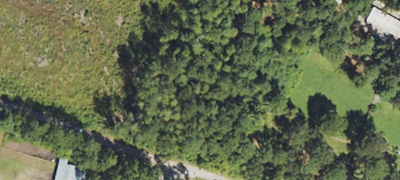 Burgaw, NC 28425