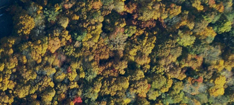 Boone, NC 28607
