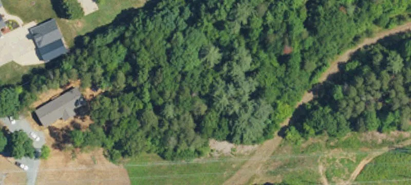 Boxwood Ln